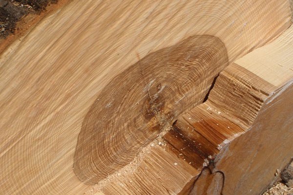 Holz: individuell und einzigartig