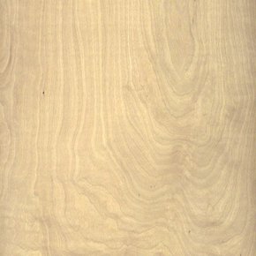 Räucher Akazie Holz Furnier 185x17cm 0,6mm ECHTE Farben und Bilder 