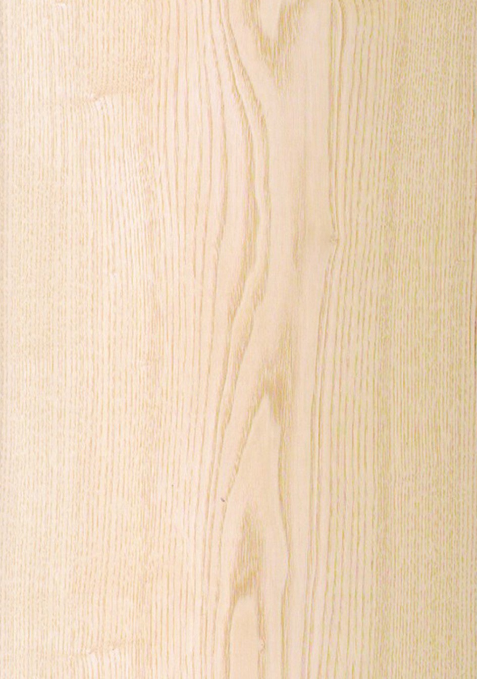 Kernesche Olivesche Esche Furnier Intarsien  Modellbau  Holz basteln 2088 